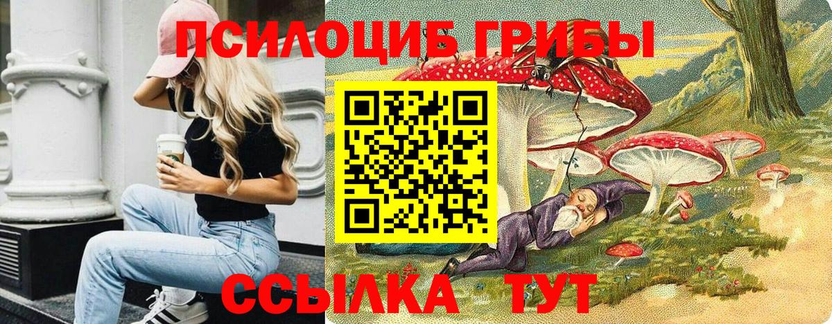 Галлюциногенные грибы MAGIC MUSHROOMS Новотроицк