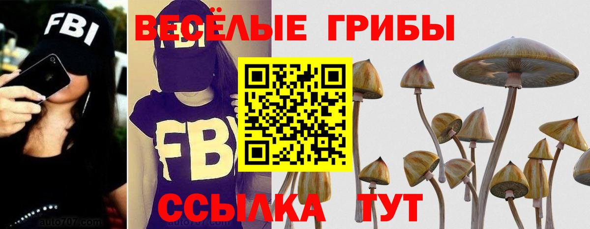 Галлюциногенные грибы Psilocybine cubensis  Галлюциногенные грибы MAGIC MUSHROOMS  Новотроицк  Вход с VPN 